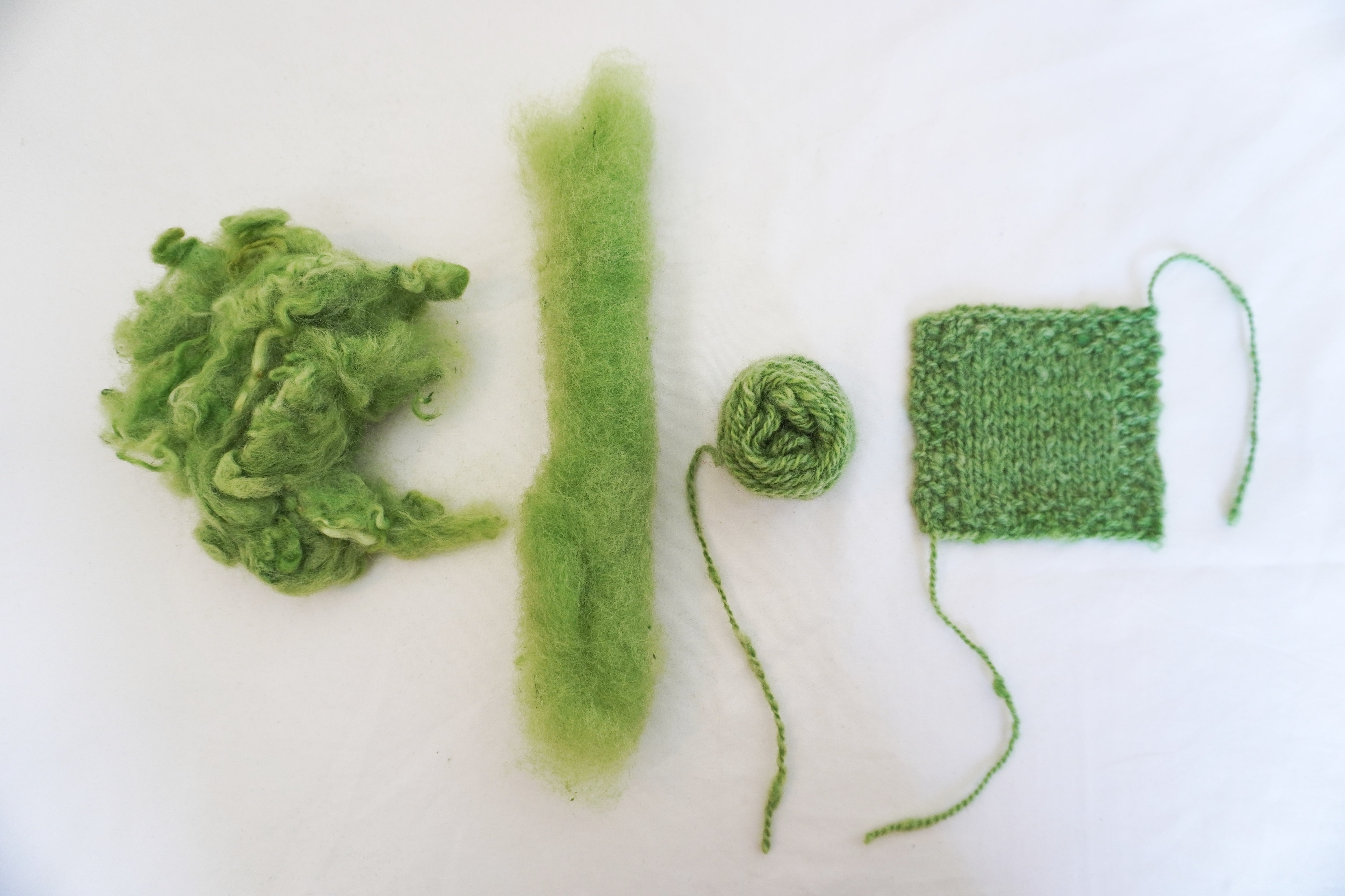 wool carding: rolag, yarn, knitted sample