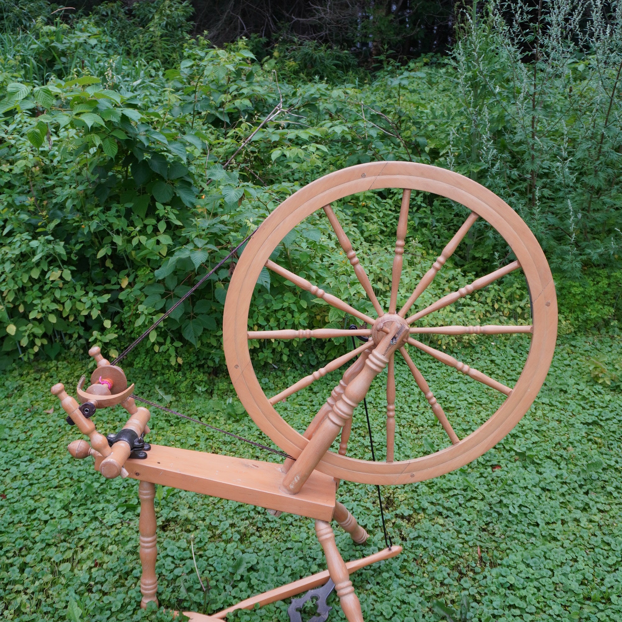 Rouet Théodore Borduas (CPW)