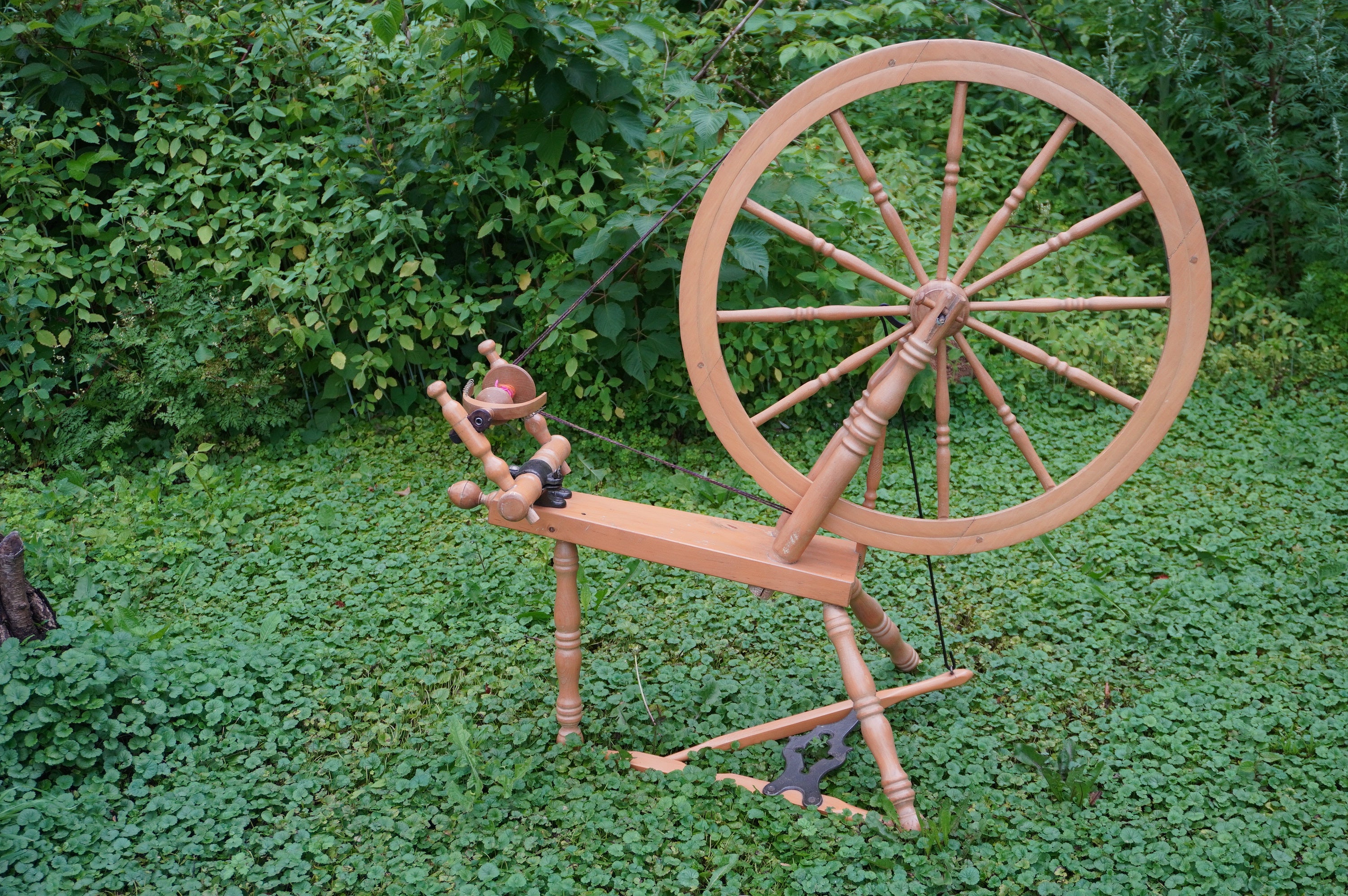 Rouet Théodore Borduas (CPW)