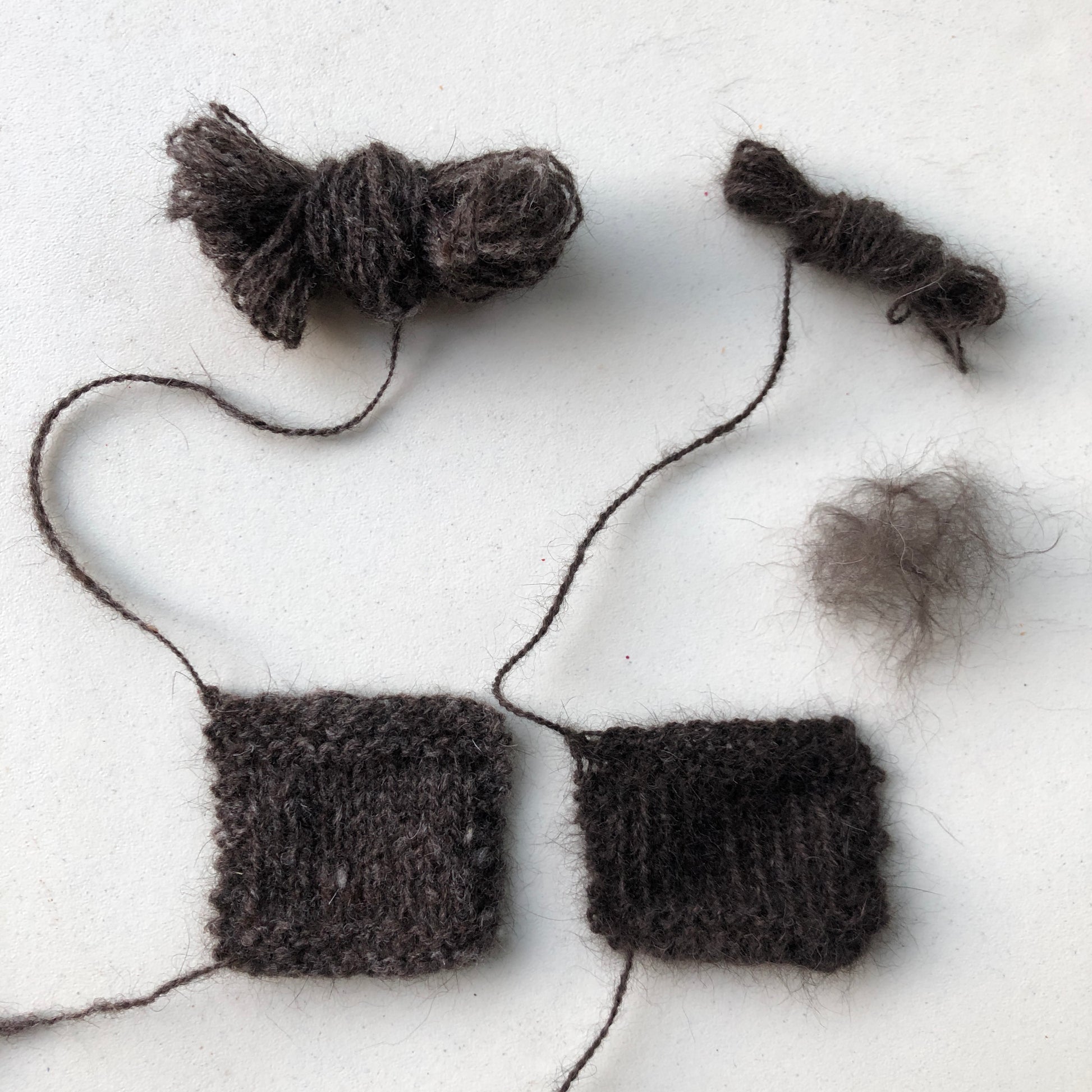 Atelier de filage avec des poils d'animaux de compagnie