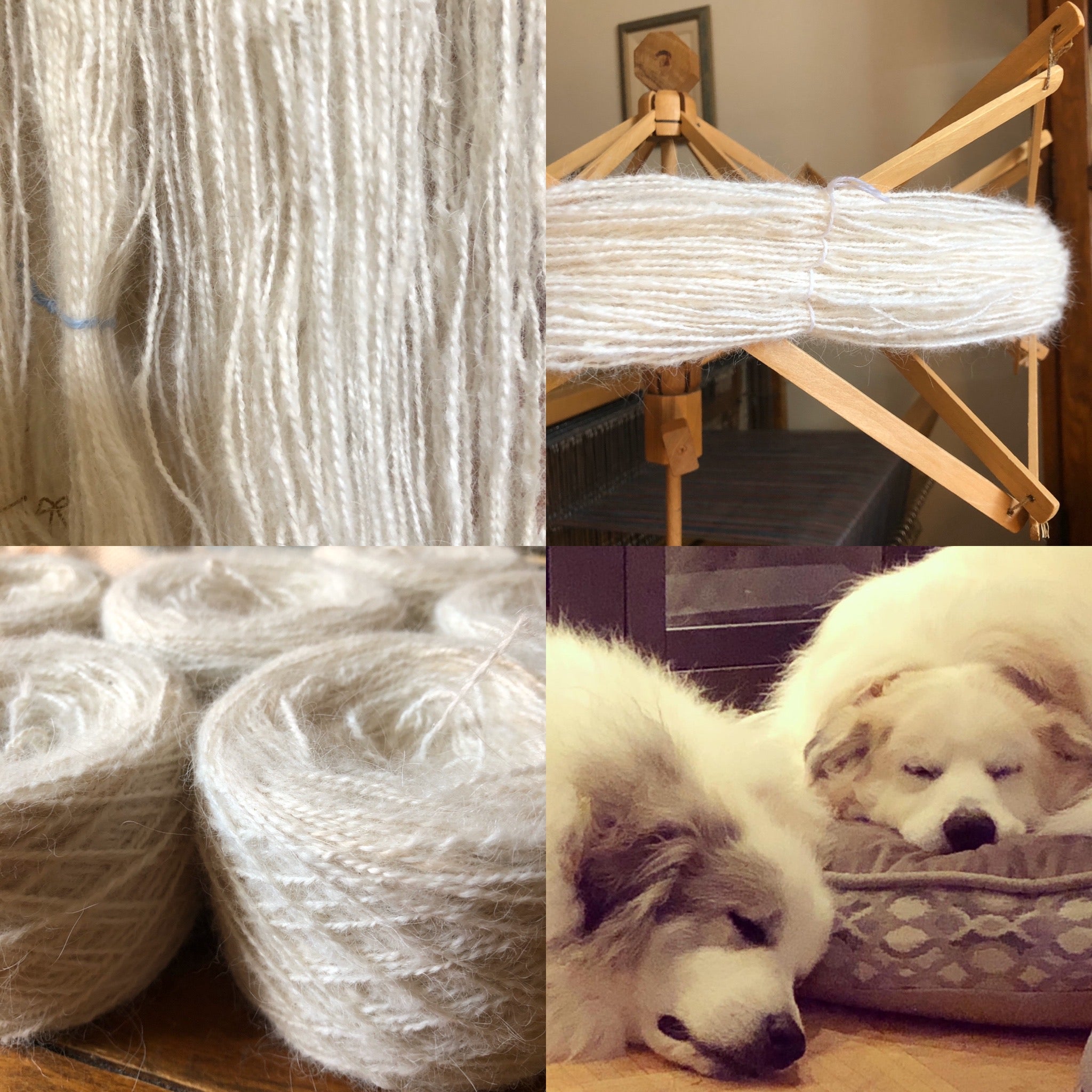 Atelier de filage avec des poils d'animaux de compagnie