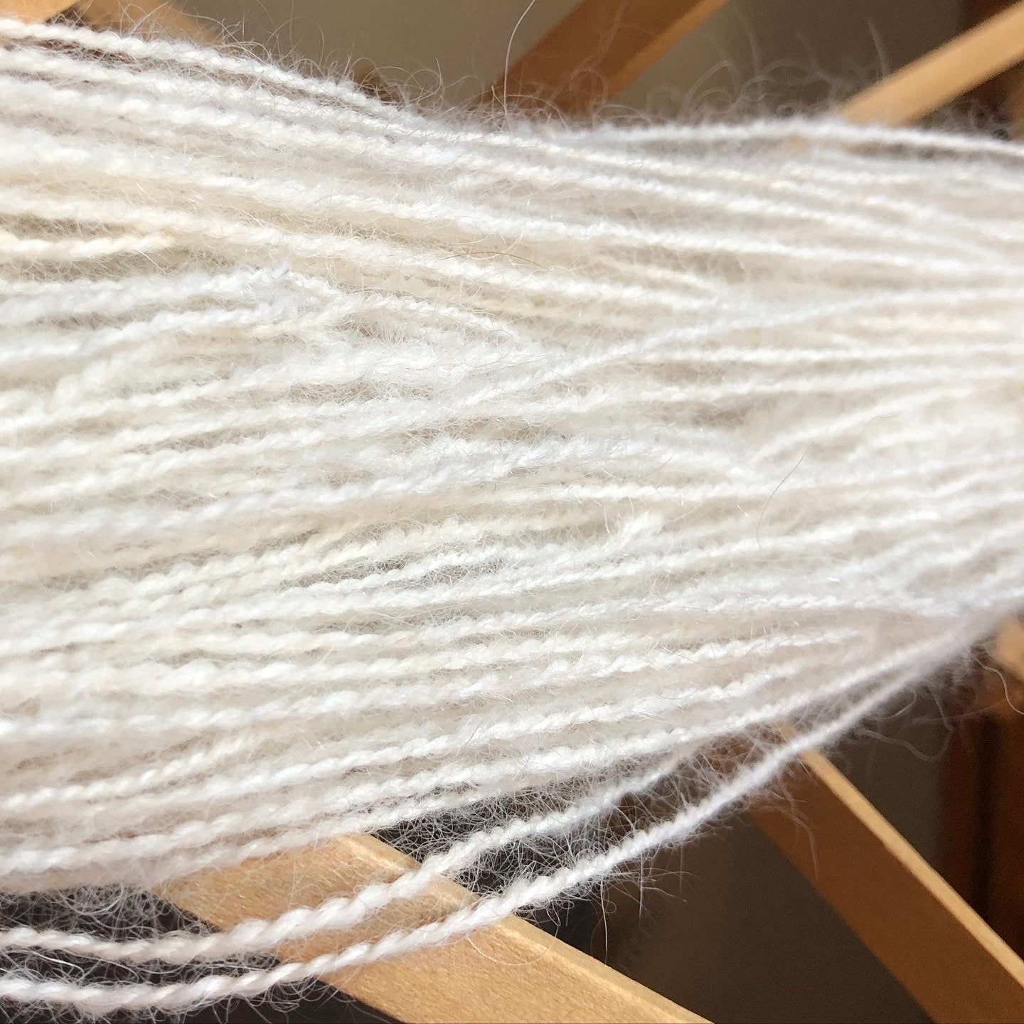 Atelier de filage avec des poils d'animaux de compagnie